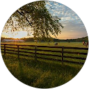 Lewis Adams profile picture