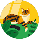 Laura Phillips profile picture