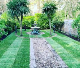 Lawn Turf Installation