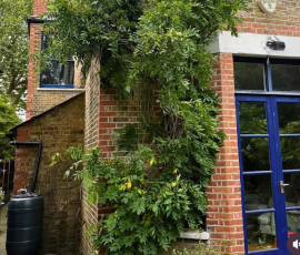 Wisteria tree
Climbing Frame
